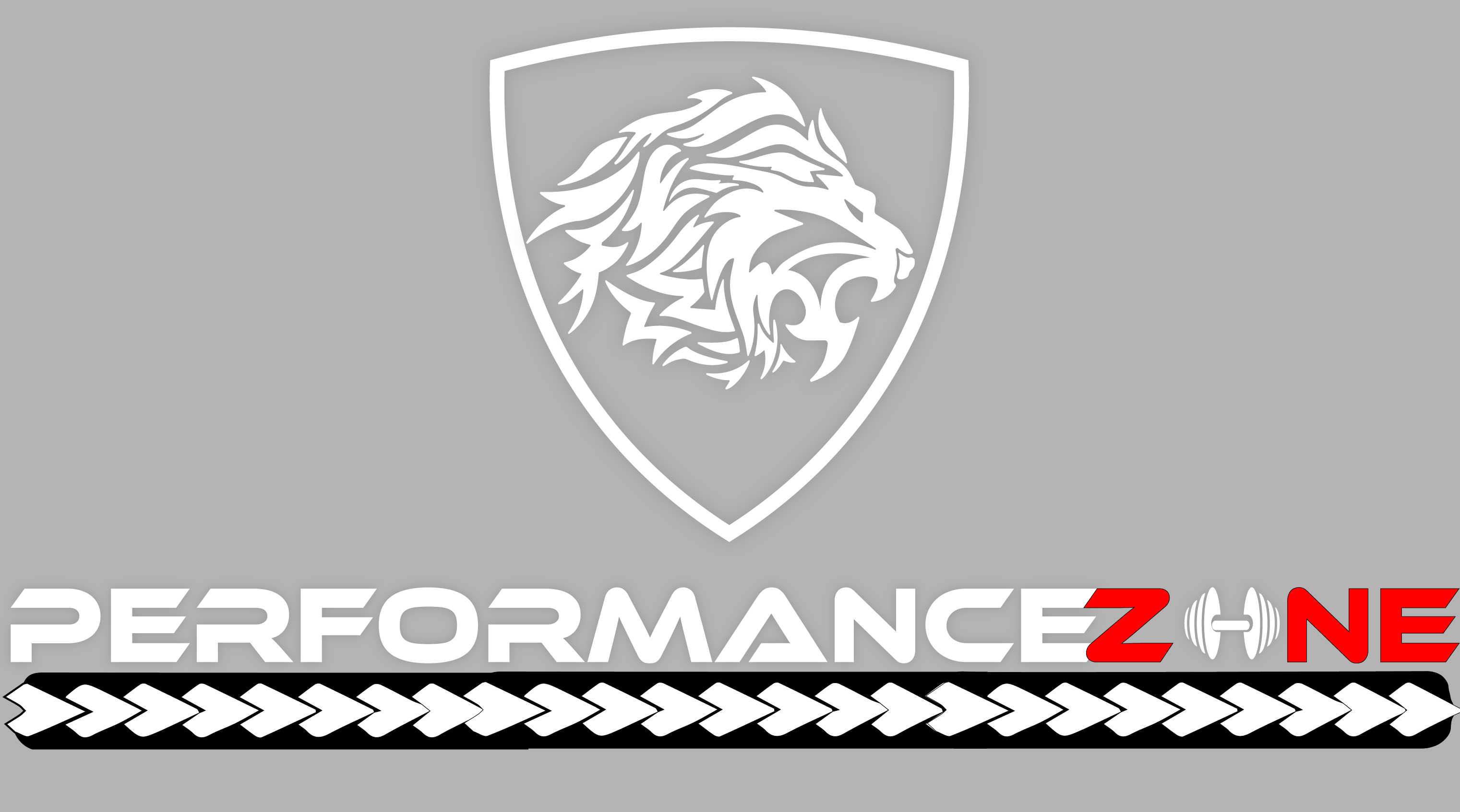 Performance Zone